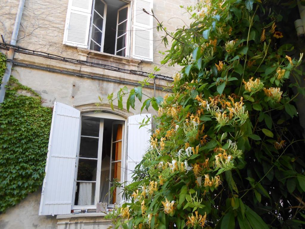 Cocooning Avignon Hotel Kültér fotó